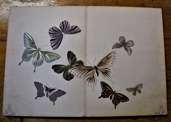 Butterfly Design Book  by  Kamisaka Sekka