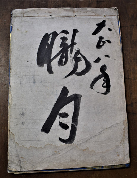 Handpainted Zuan-cho Textile Design Album